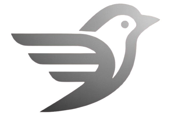 Parsoar Logo